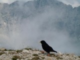 16. hodanje po rubu
